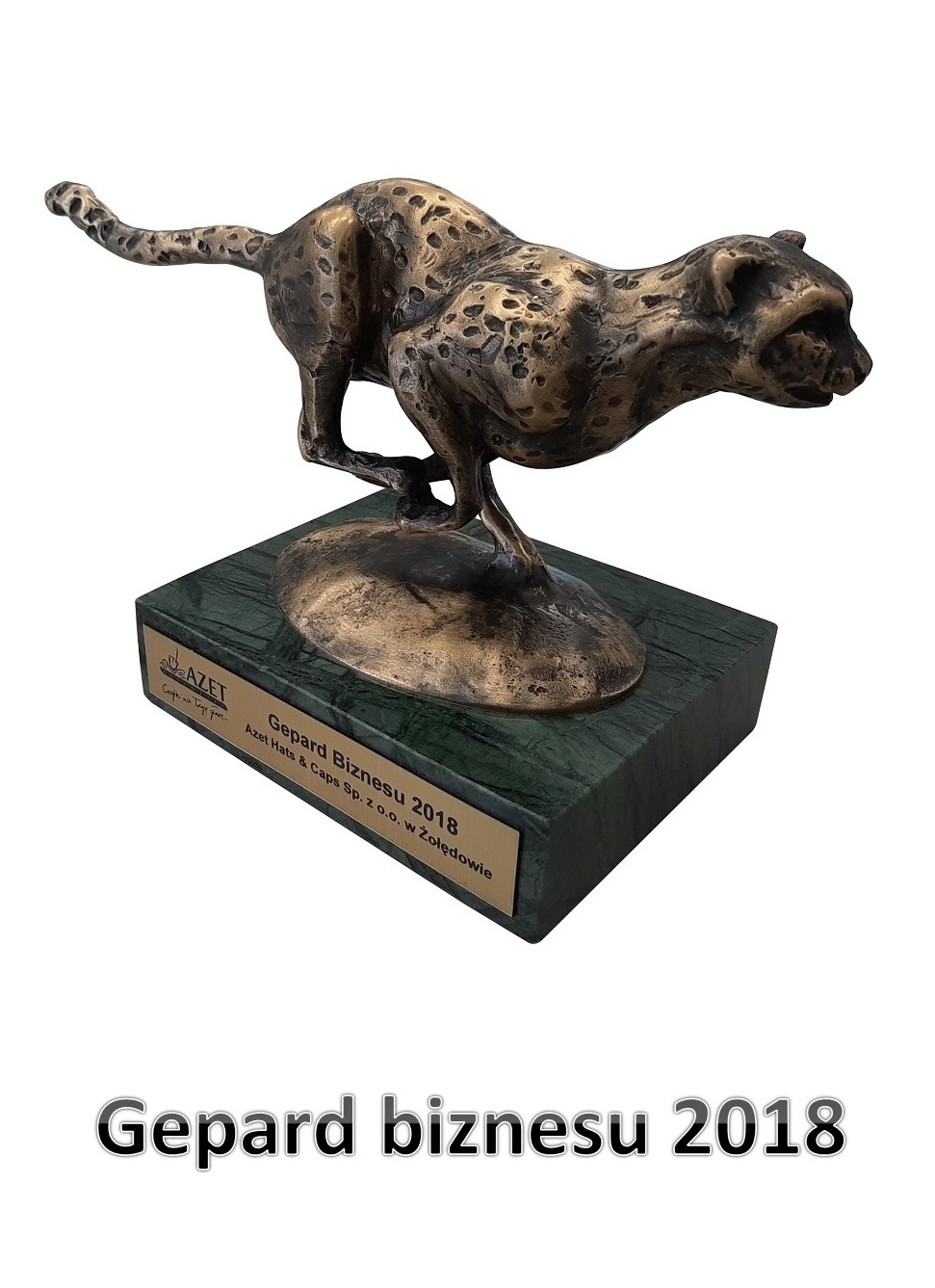 Gepard biznesu 2018